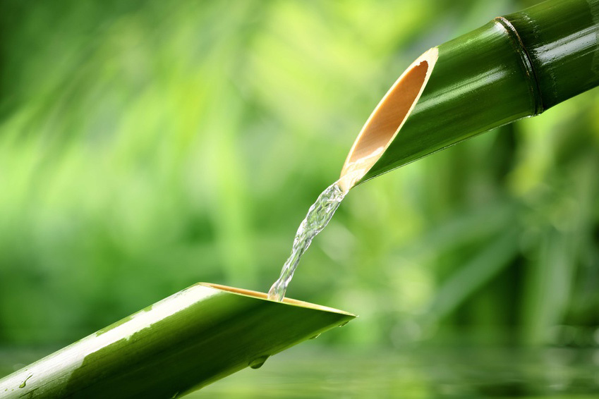 Bild Energie auftanken