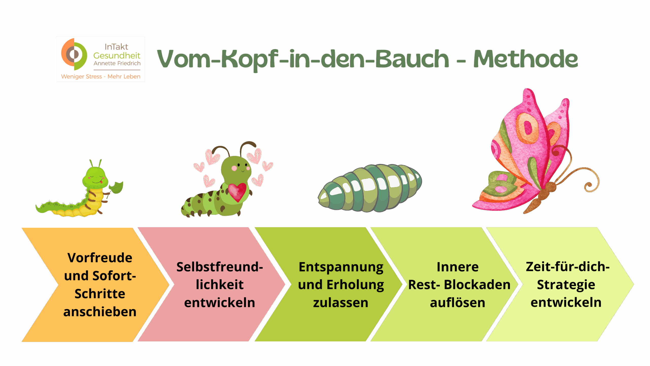 Grafik: Vom Kopf-in-den-Bauch-Methode